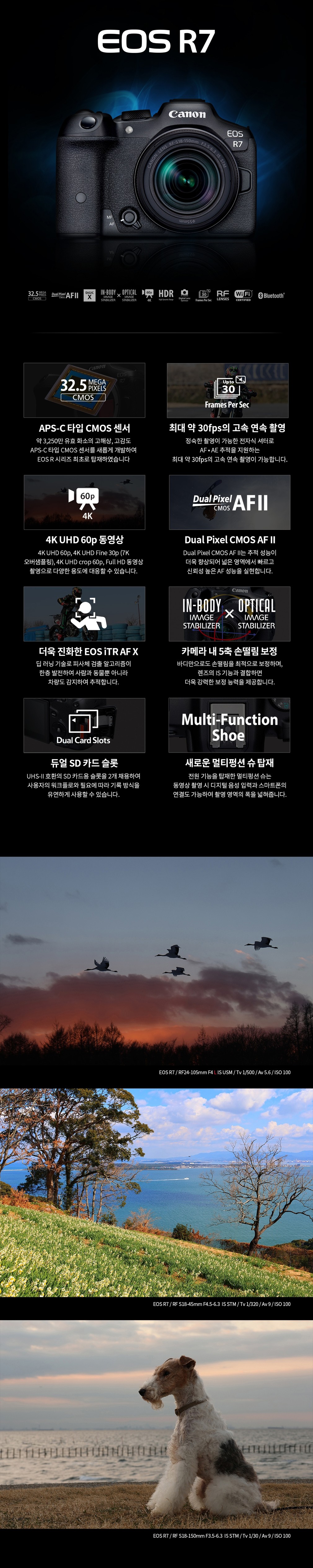 컬리 파트너스 BODY 이미지