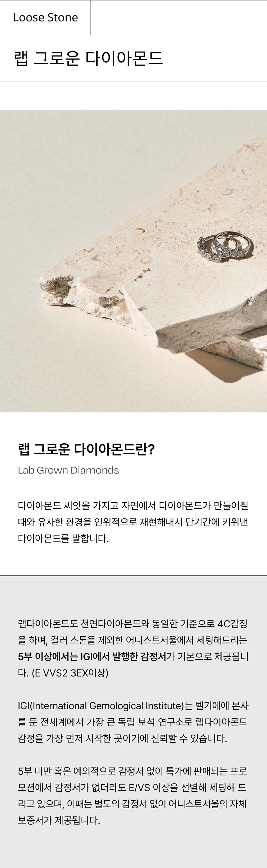 컬리 파트너스 BODY 이미지