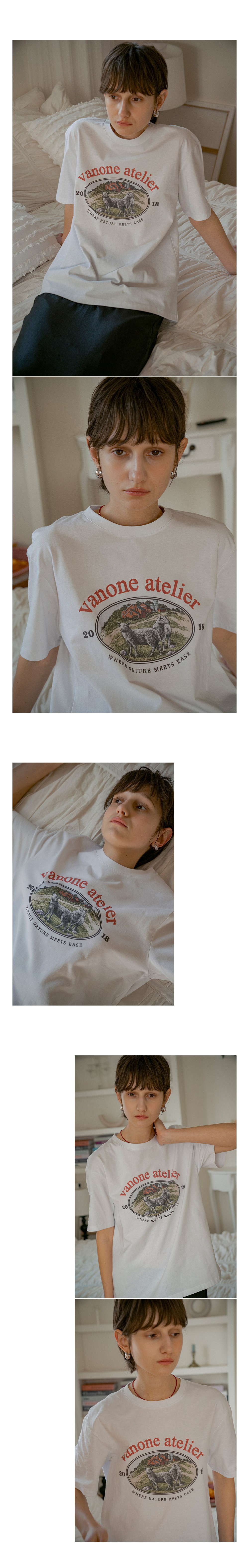 컬리 파트너스 BODY 이미지