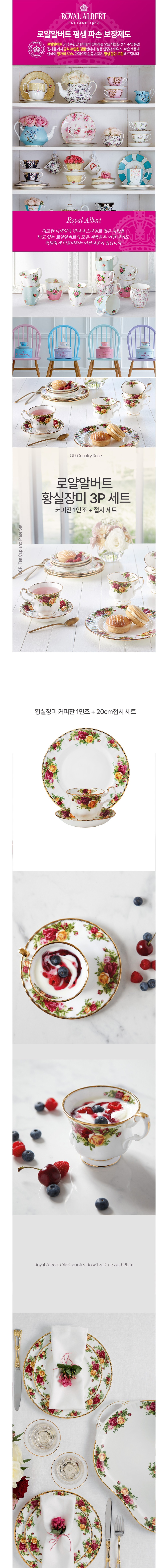 컬리 파트너스 BODY 이미지