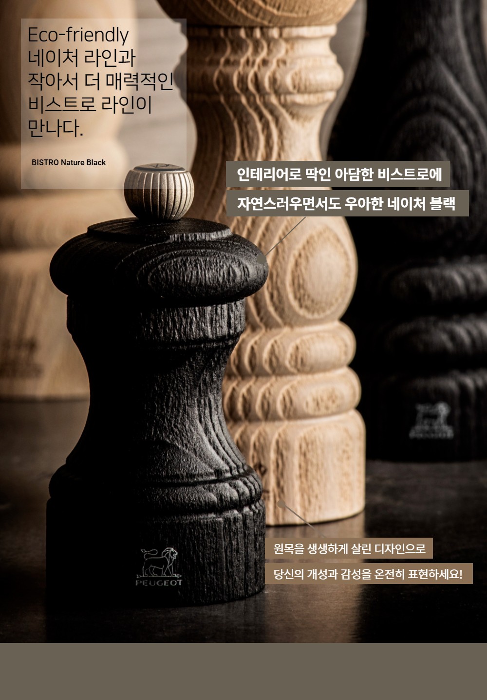 컬리 파트너스 BODY 이미지