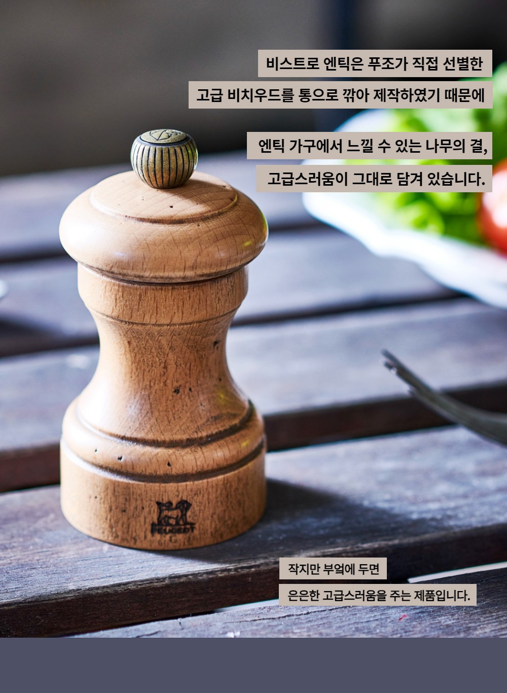 컬리 파트너스 BODY 이미지