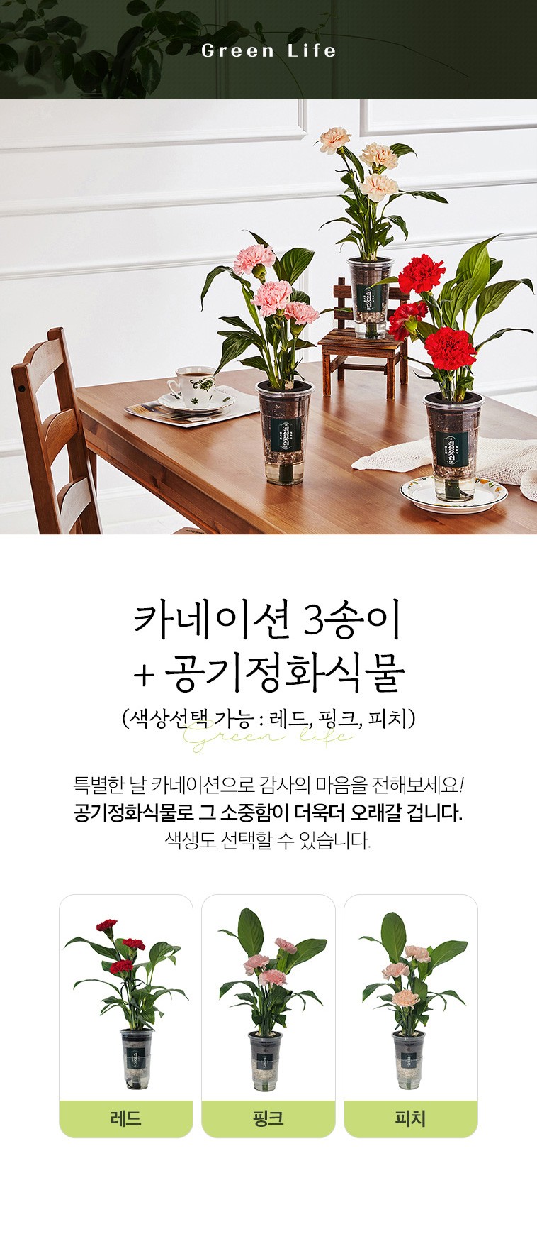 컬리 파트너스 BODY 이미지