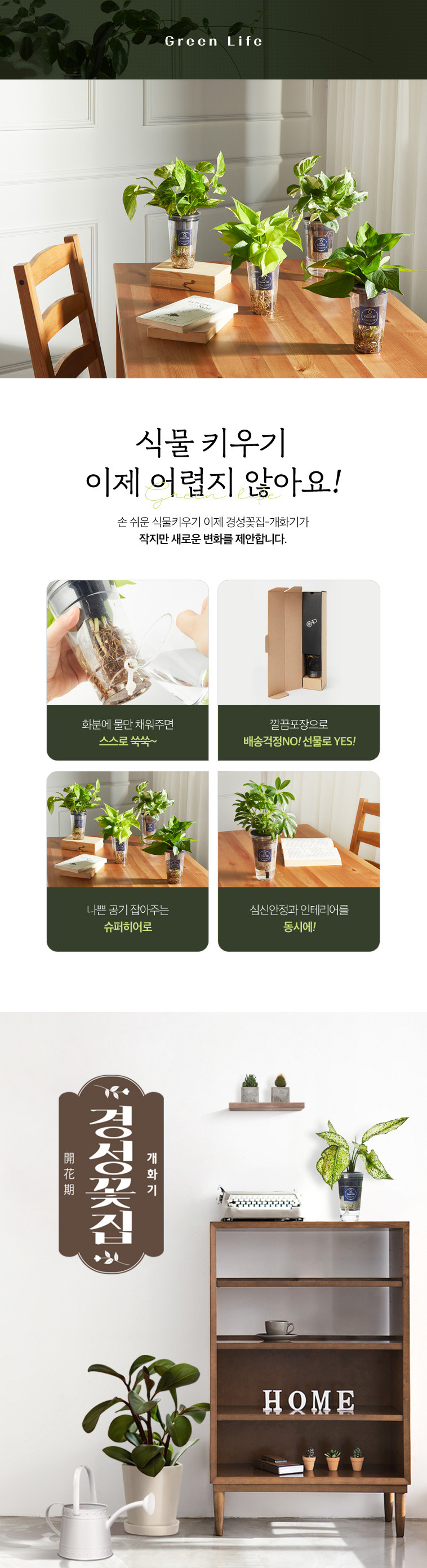[경성꽃집] 크리스마스 선물용 식물 화분 세트, 포인세티아 & 스파트필름 상세 이미지 2
