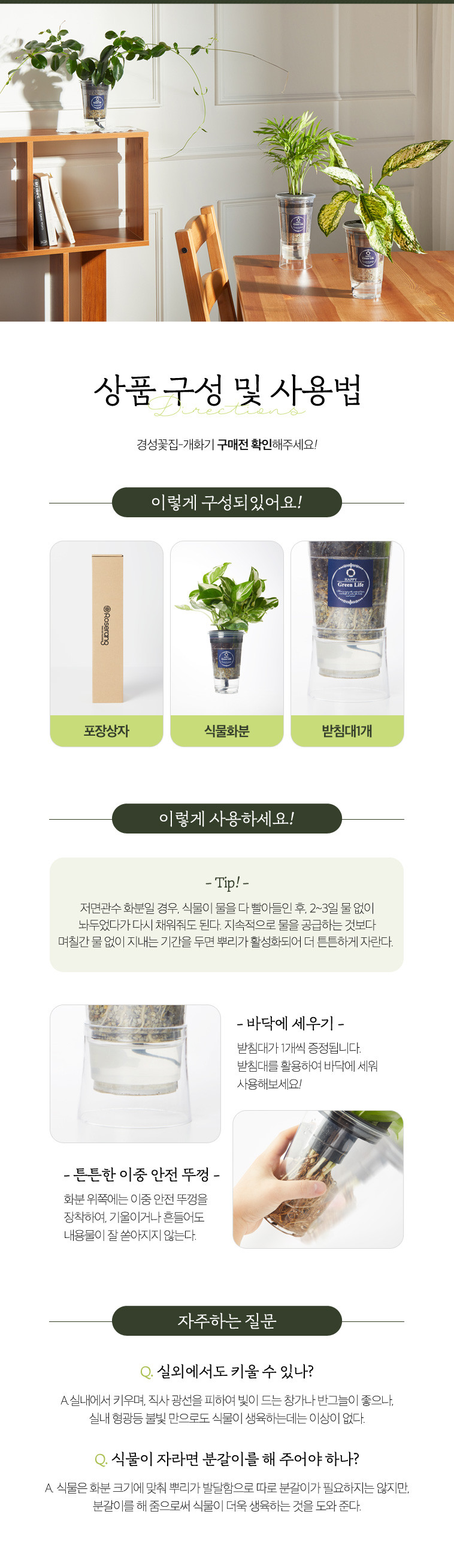 [경성꽃집] 크리스마스 선물용 식물 화분 세트, 포인세티아 & 스파트필름 상세 이미지 5