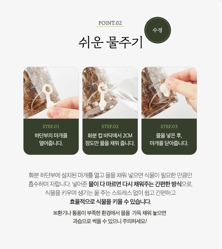 [경성꽃집] 크리스마스 선물용 식물 화분 세트, 포인세티아 & 스파트필름 상세 이미지 4
