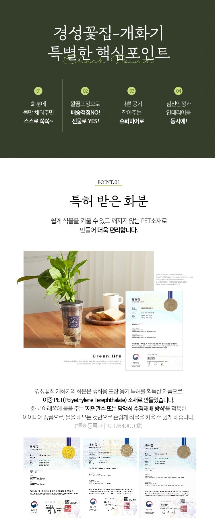 [경성꽃집] 크리스마스 선물용 식물 화분 세트, 포인세티아 & 스파트필름 상세 이미지 3