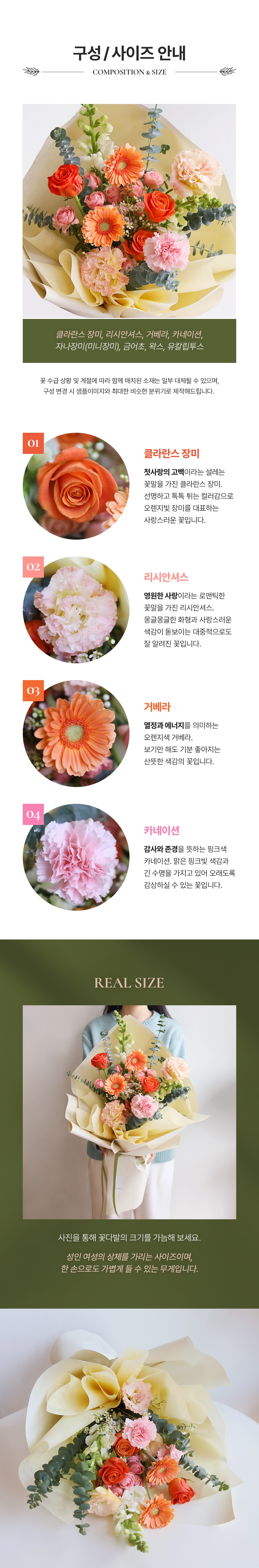 컬리 파트너스 BODY 이미지