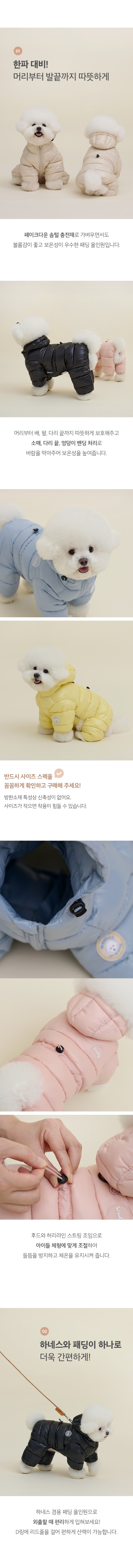 컬리 파트너스 BODY 이미지