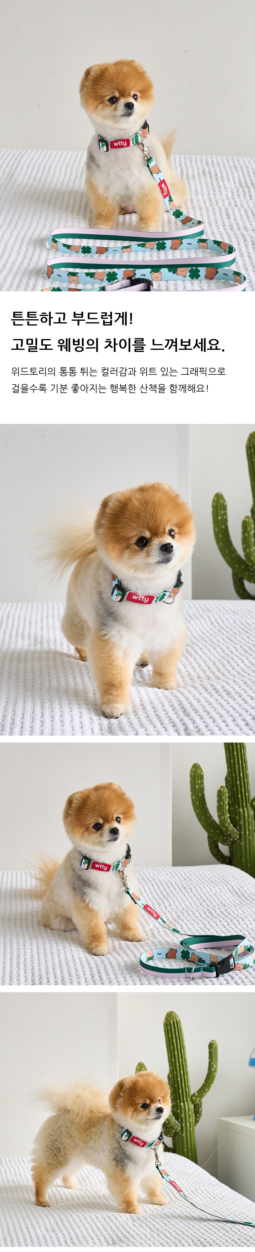 컬리 파트너스 BODY 이미지