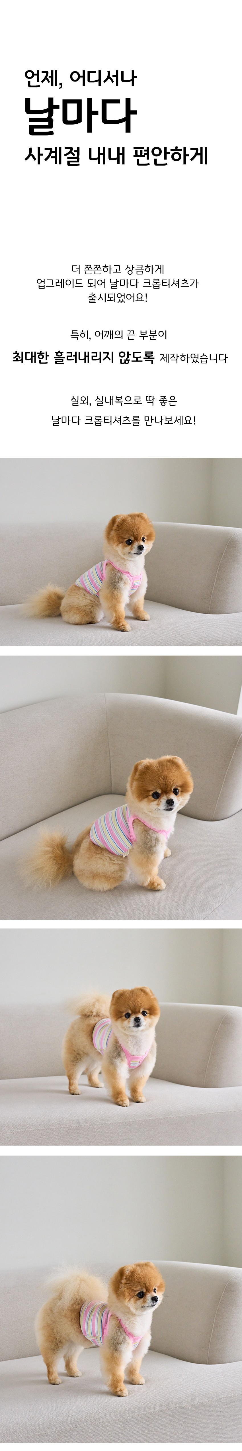 컬리 파트너스 BODY 이미지