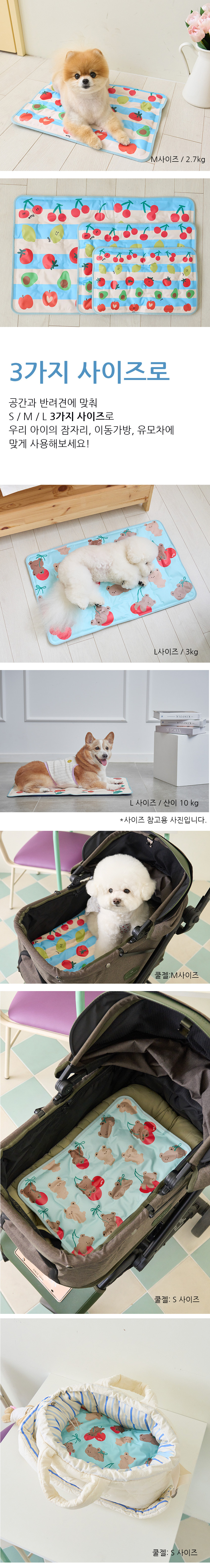 [위드토리] 체리베어&후르츠프렌즈 양면 쿨젤 상세 이미지 2