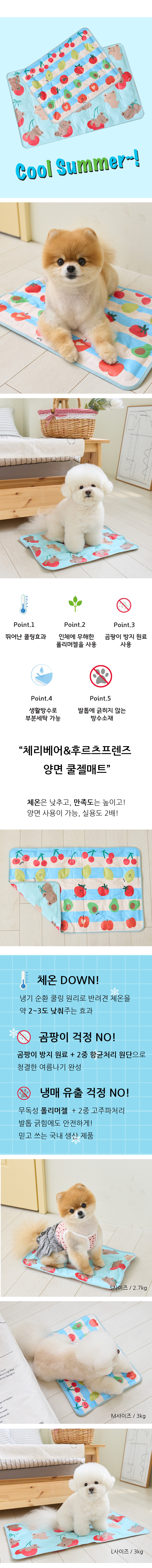 [위드토리] 체리베어&후르츠프렌즈 양면 쿨젤 상세 이미지 1