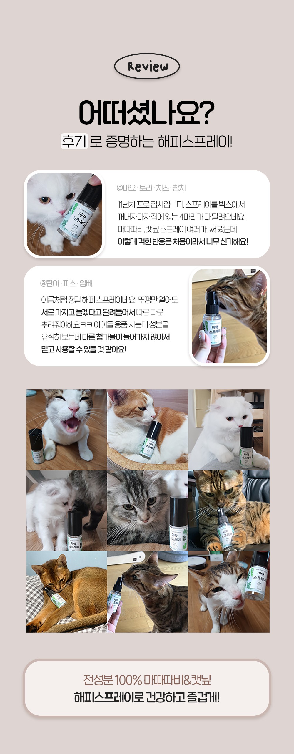 컬리 파트너스 BODY 이미지