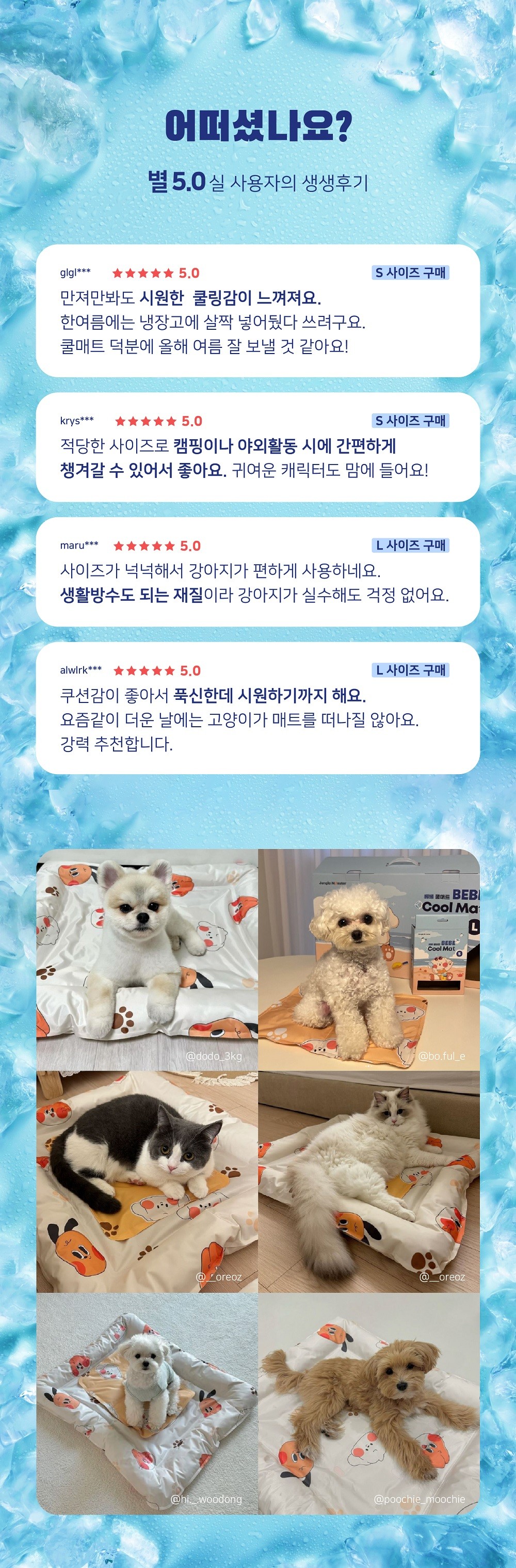 컬리 파트너스 BODY 이미지