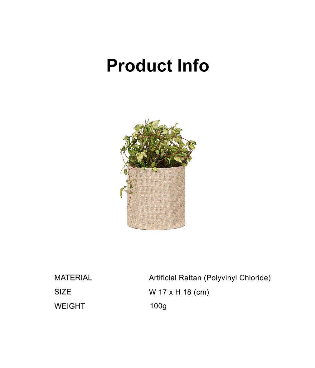 컬리 파트너스 PRODUCT_IMAGE 이미지
