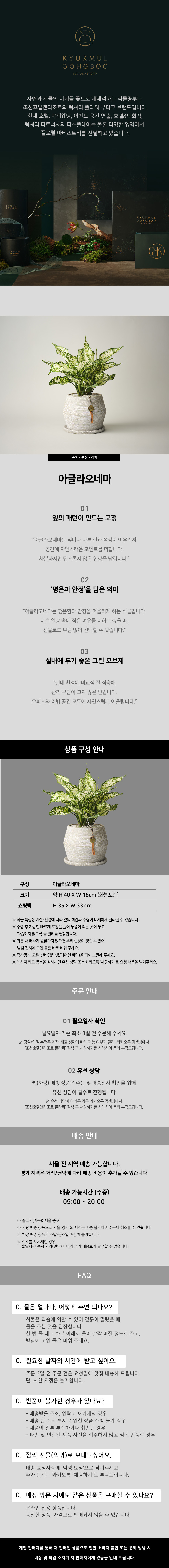 [조선호텔 격물공부] 아글라오네마 (퀵배송) 상세 이미지 1