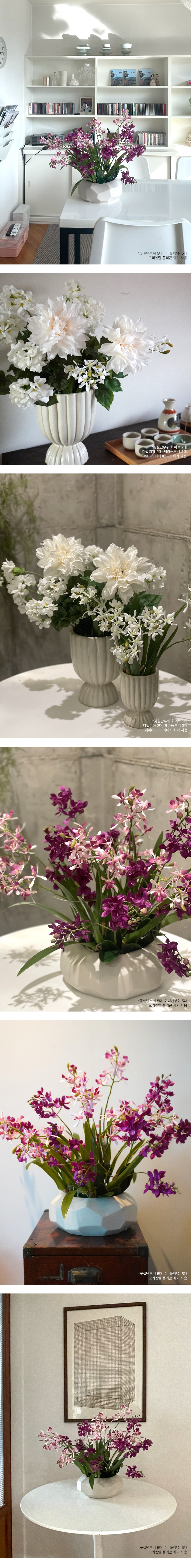 컬리 파트너스 BODY 이미지