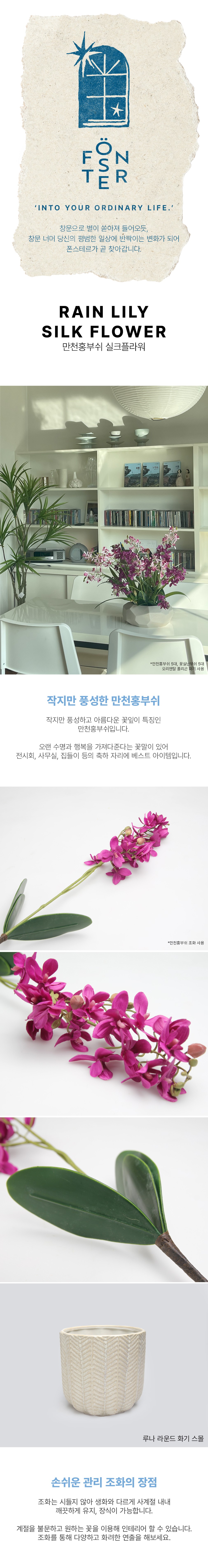 컬리 파트너스 BODY 이미지