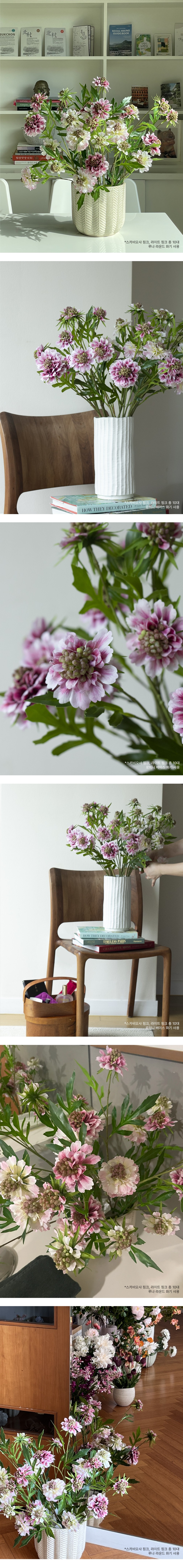 컬리 파트너스 BODY 이미지