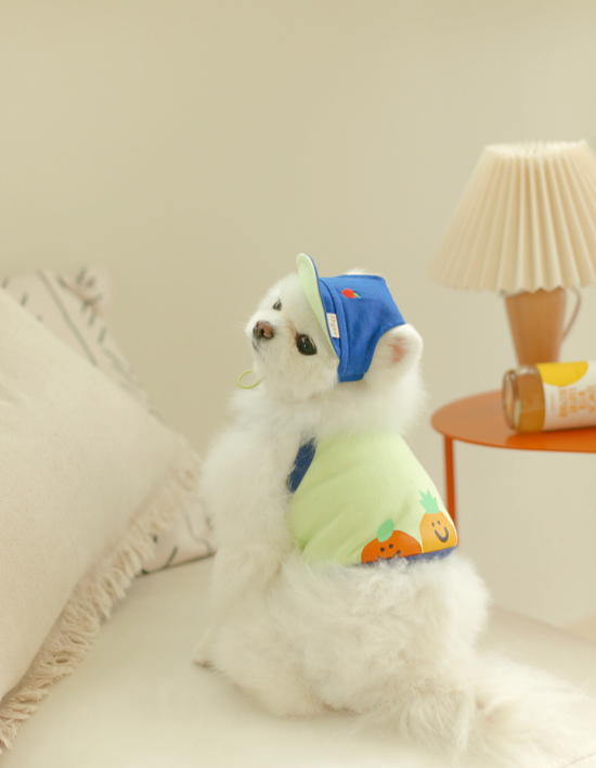 컬리 파트너스 BODY 이미지