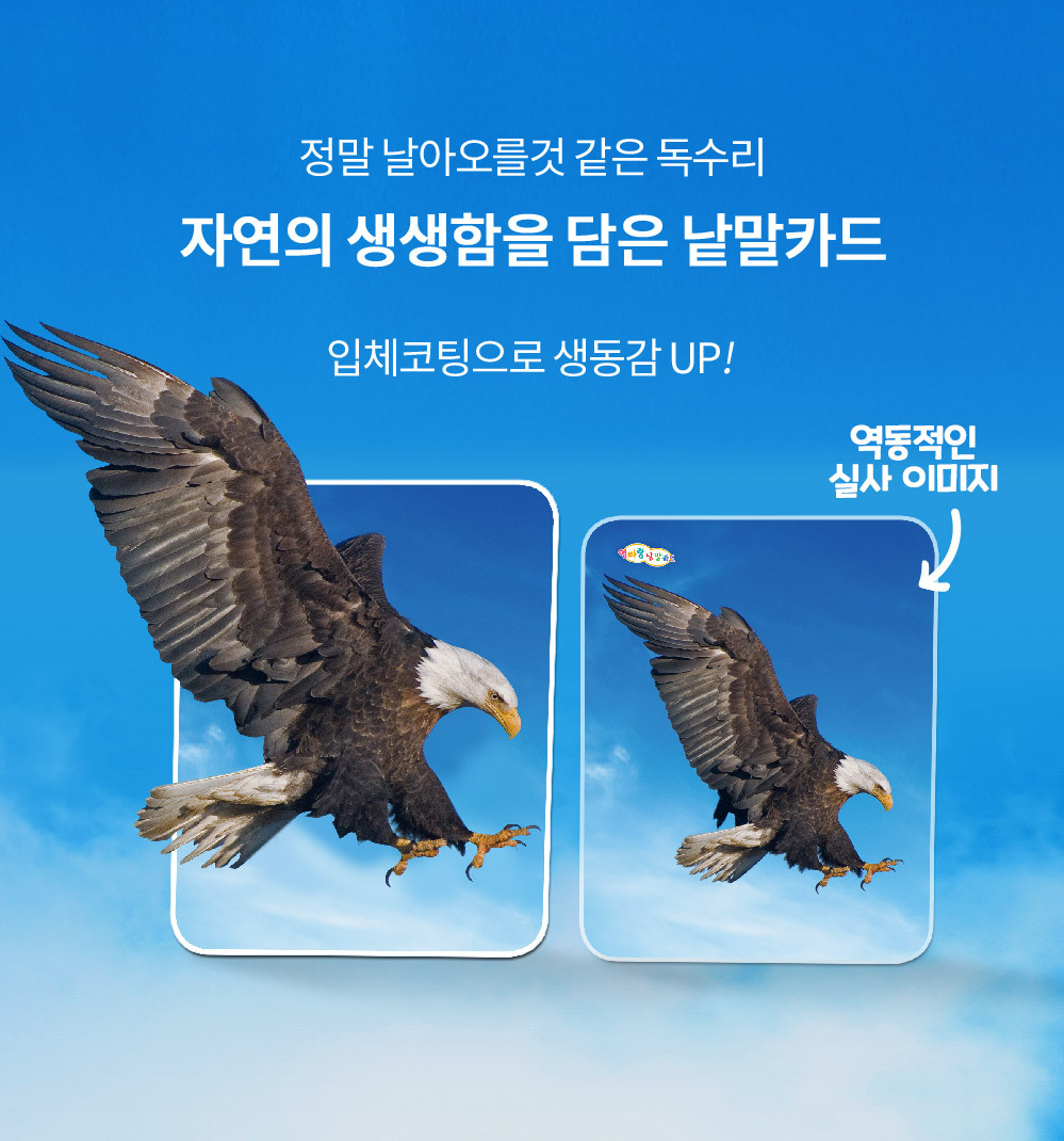 [훈민출판사] 엄마랑 낱말카드 210장 상세 이미지 6