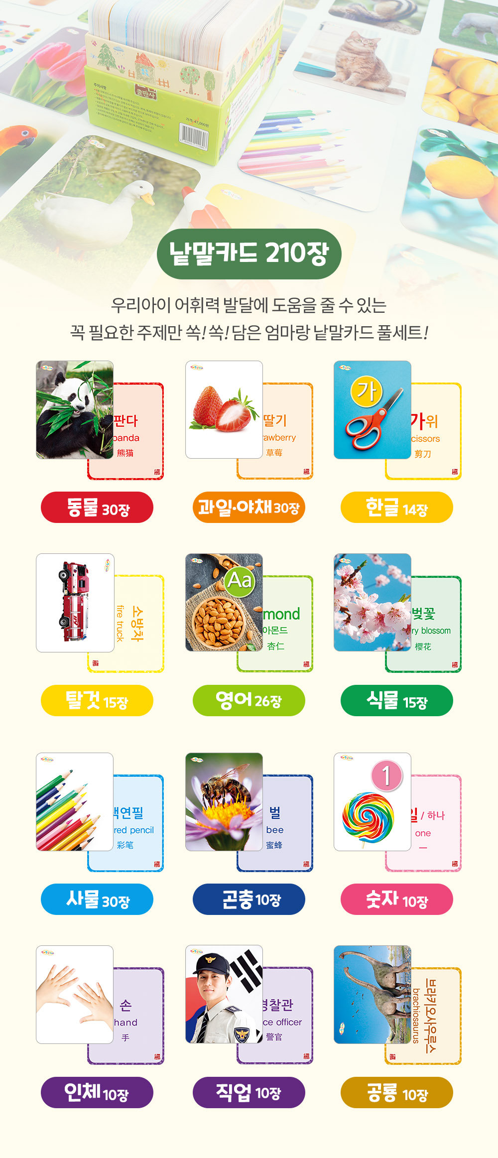 [훈민출판사] 엄마랑 낱말카드 210장 상세 이미지 4