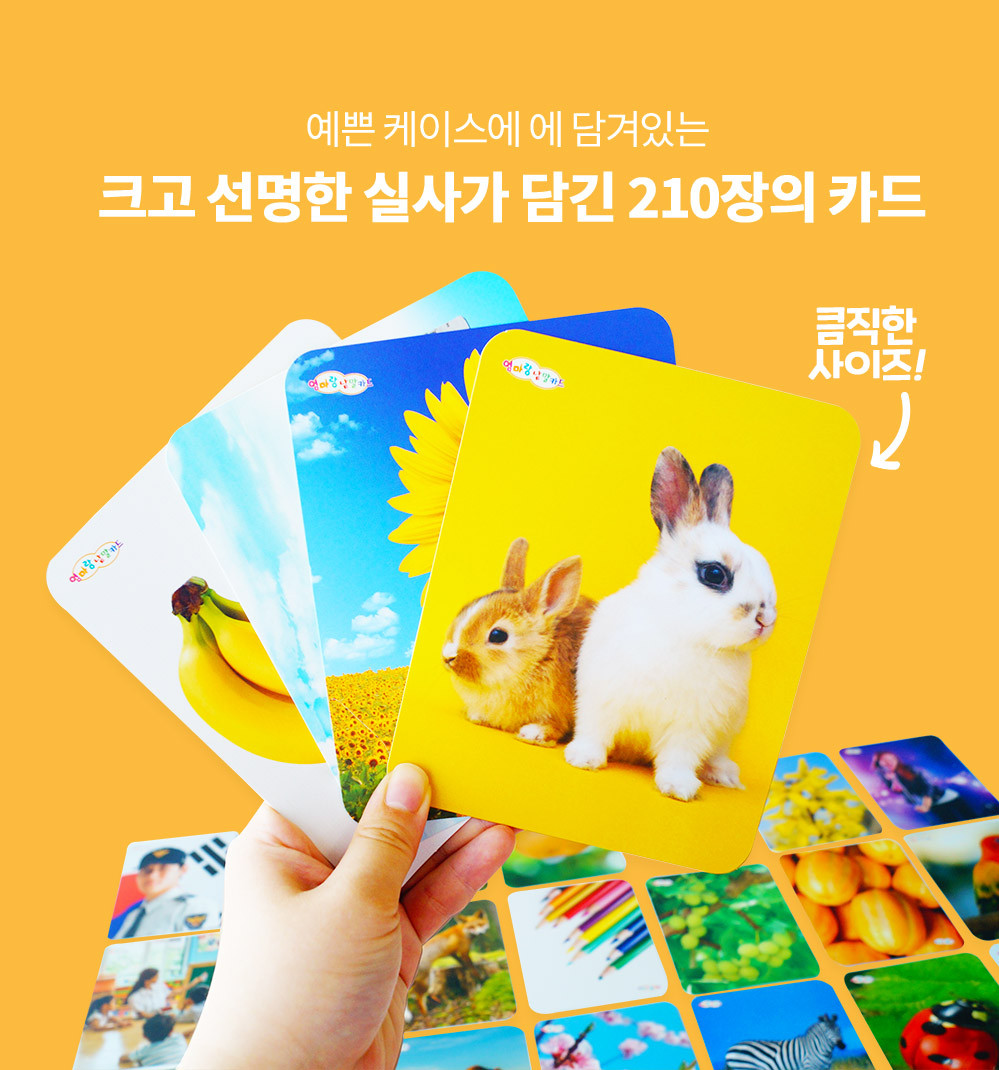 [훈민출판사] 엄마랑 낱말카드 210장 상세 이미지 5