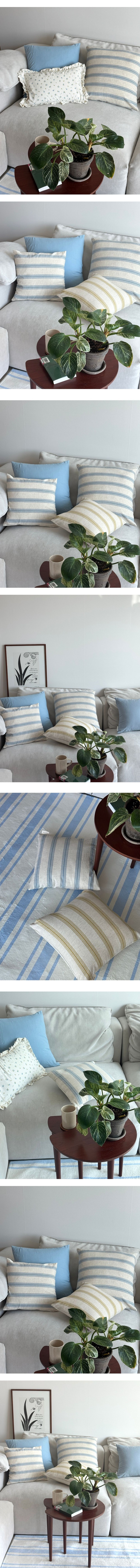 컬리 파트너스 BODY 이미지