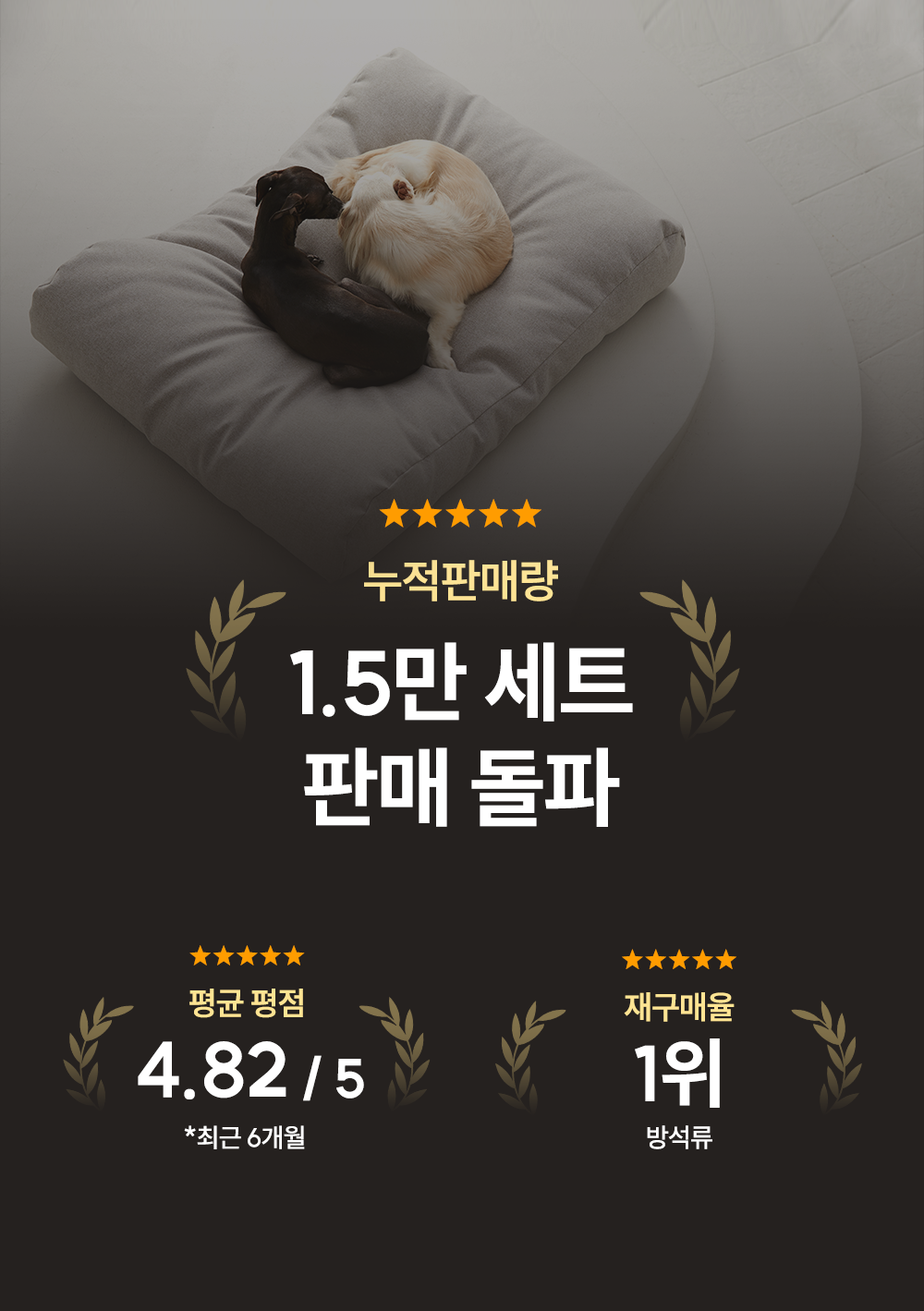 컬리 파트너스 BODY 이미지