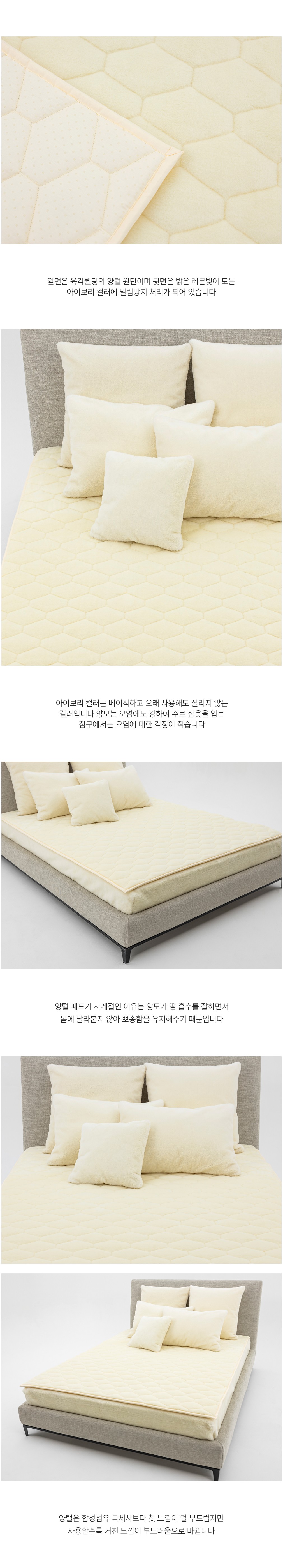 컬리 파트너스 BODY 이미지