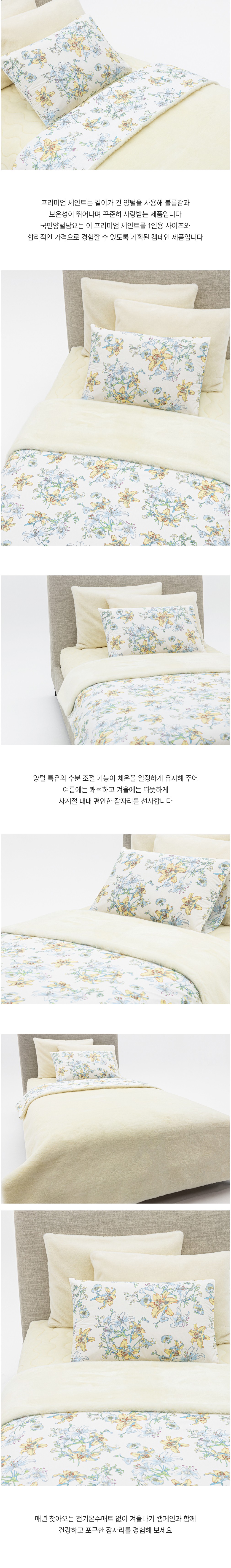 컬리 파트너스 BODY 이미지