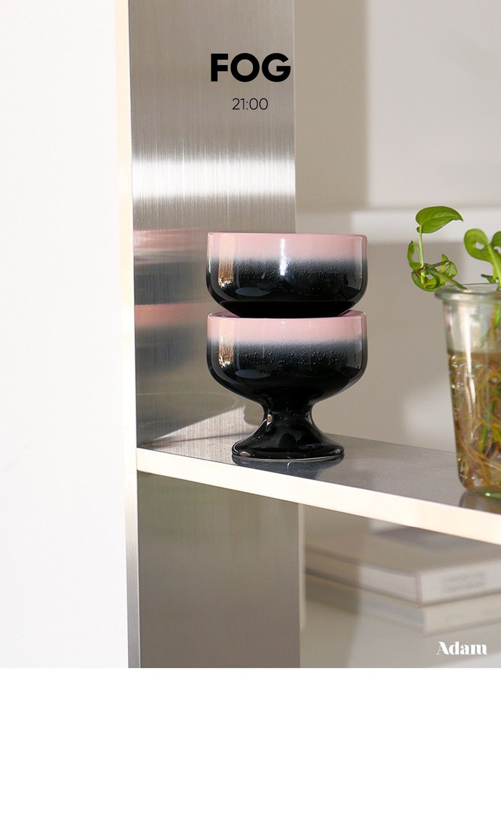 컬리 파트너스 BODY 이미지