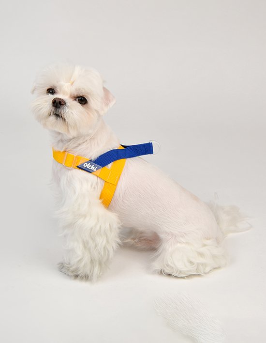 [올치] 봉봉 V 하네스 2종(택1)