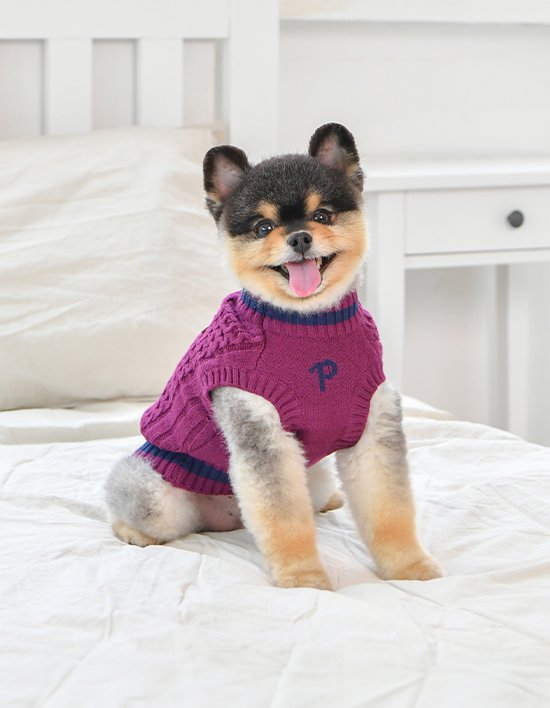 [퍼피아] 댄디 꽈배기 니트 티셔츠 2종(택1)