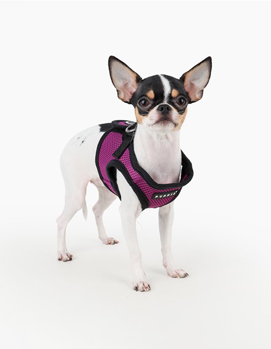 [퍼피아] 소프트 베스트 하네스 B 15종(택1)