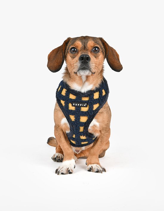 [퍼피아] 스테판 사이즈 조절 하네스 A  2종(택1)