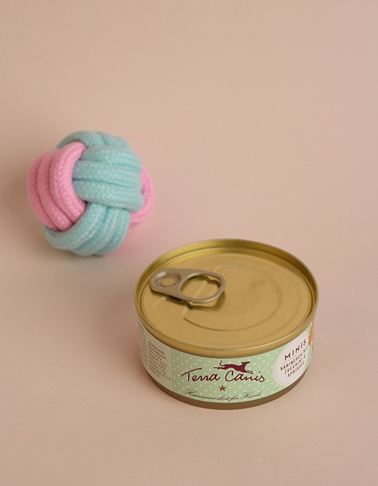 [테라카니스]미니 토끼와 호박 캔