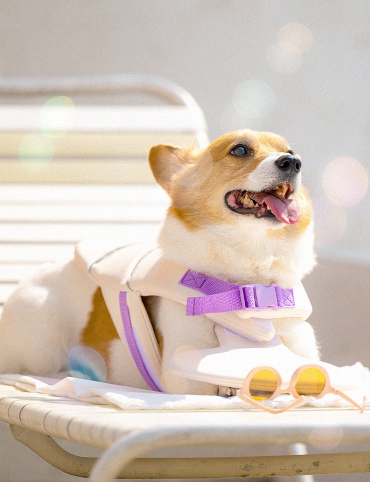 [펫트리움] 강아지 구명조끼 애견튜브 수영복 물놀이