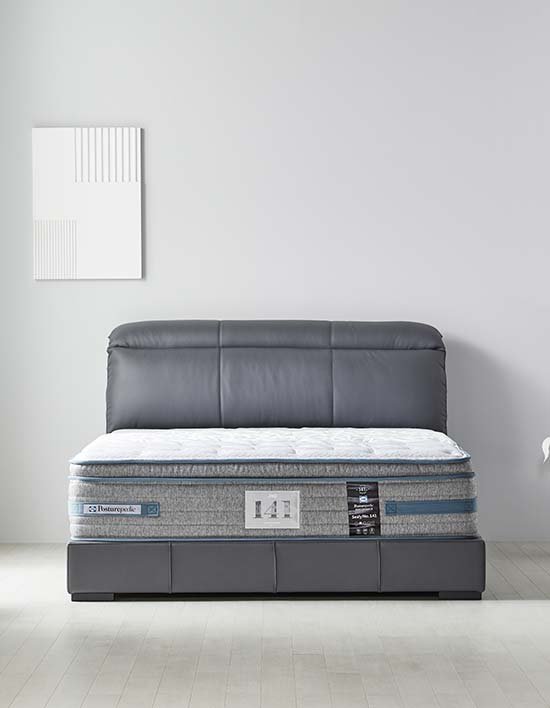 [씰리] S238 침대프레임 레귤러킹(RK)