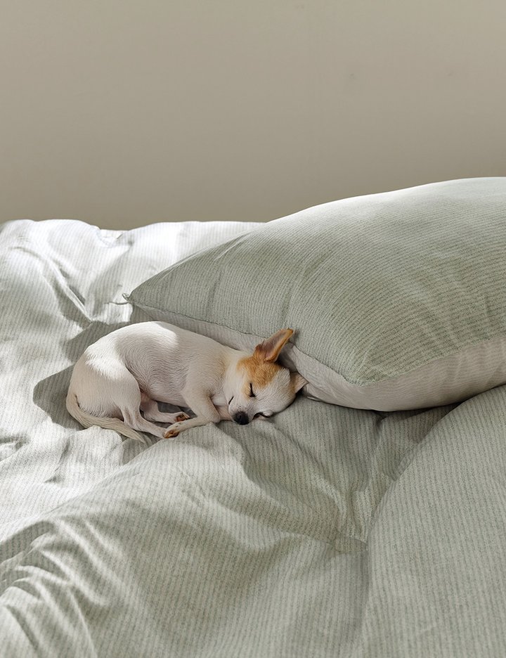 [파르페by알레르망] 맨션 알러지케어 다운필 차렵이불세트 16종 (택1)