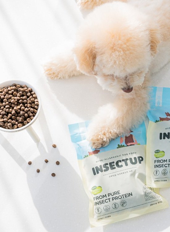 [핏펫] 인섹트업 곤충단백질 말랑 촉촉 강아지 사료 3종 택 1