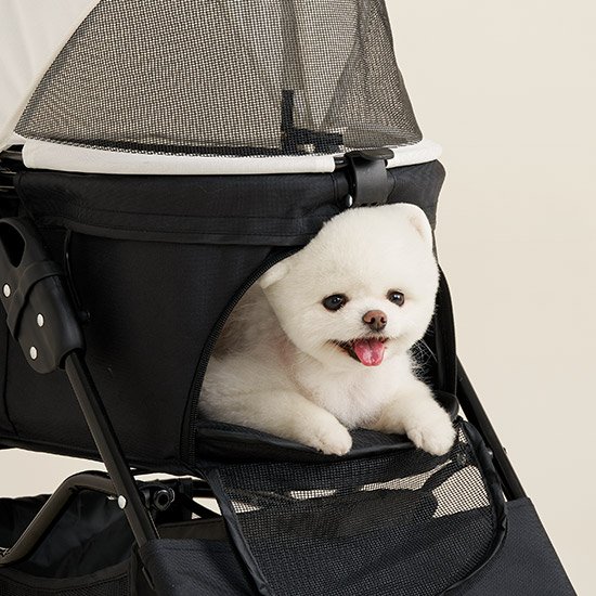 상품-대표-이미지 3