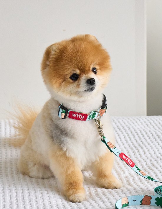 [위드토리] 럭키 곰이 목줄