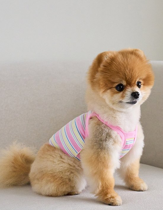 [위드토리]  날마다 크롭 티셔츠 (핑크)