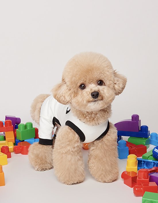 [위드토리] 크레용 강아지 올인원 (화이트)