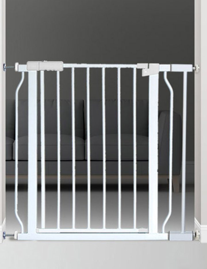 [딩동펫] 프리미엄 반자동안전문 대형 2종 (택1)