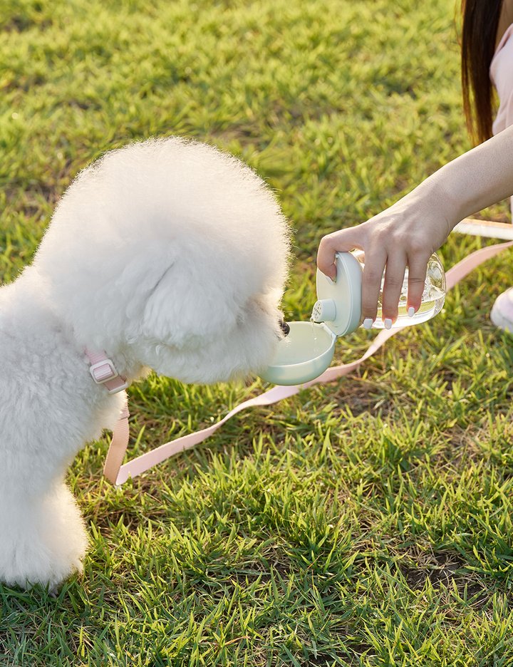 [리카리카] 휴대용 원터치 산책 물통 3종 (택1)