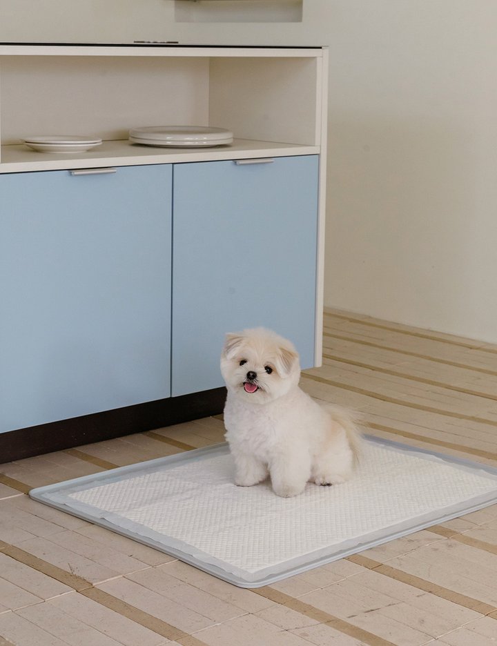 [리카리카] 논슬립 실리콘 배변매트 2종 (택1)