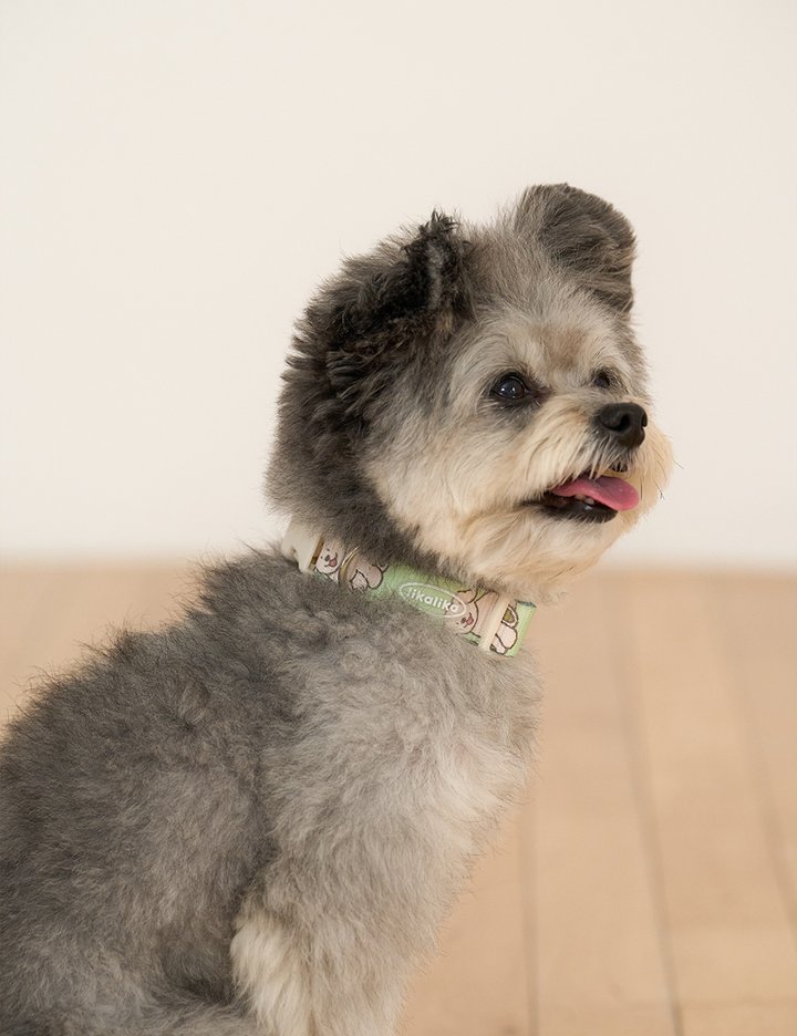 [리카리카] 커들리 토이 목줄 3종 (택1)